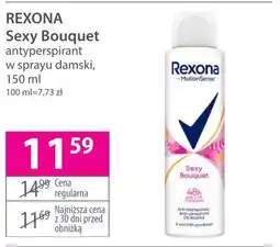 Hebe Antyperspirant oferta