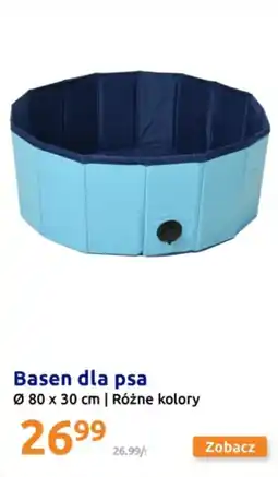 Action Basen dla psa oferta