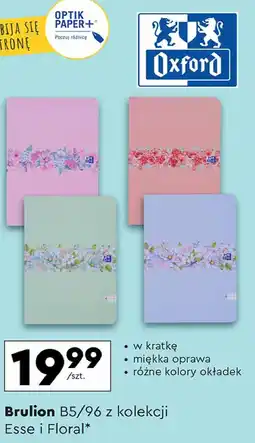 Biedronka Brulion floral b5/96 kratka Oxford oferta