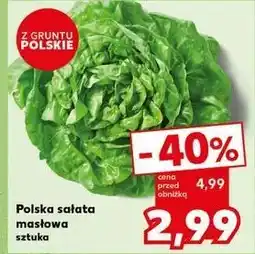 Kaufland Sałata masłowa polska oferta