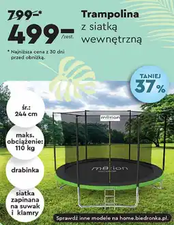 Biedronka Trampolina z siatką wewnętrzną oferta