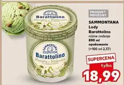 Kaufland Lody pistacjowe Sammontana Barattolino oferta