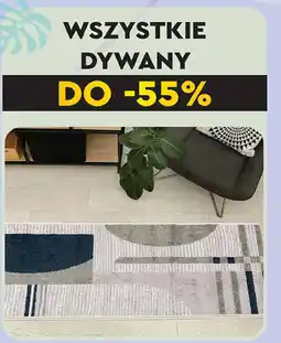 Biedronka Dywan oferta