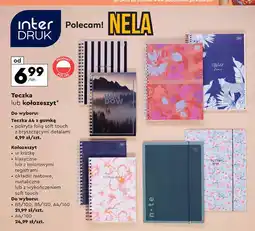 Biedronka Teczka a4 z gumką Interdruk oferta