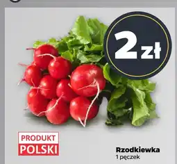 Netto Rzodkiewka polska oferta