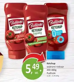 Passa Pudliszki Ketchup łagodny 480 g oferta