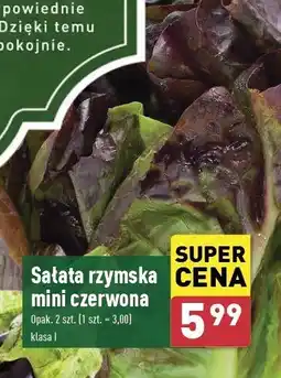ALDI Sałata rzymska mini czerwona oferta