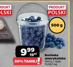 Netto Borówki oferta