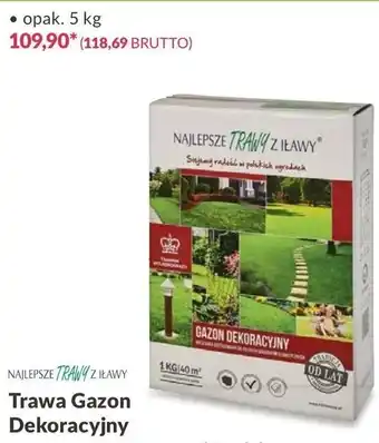 Makro Trawa Gazon Dekoracyjny 5kg oferta