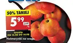 Biedronka Nektarynki oferta