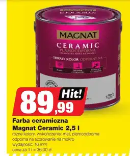 Bricomarche Farba Magnat oferta