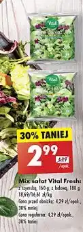 Biedronka Mix sałat z sałatą lodową Vital Fresh oferta