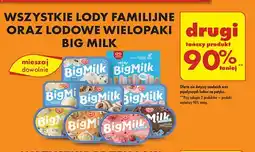 Biedronka Lody mix Algida Big Milk Mini oferta