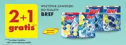 Biedronka Zawieszka do wc eukaliptus Bref Color Aktiv (Wcześniej Blue Active) oferta
