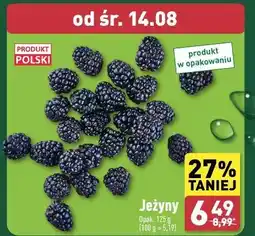 ALDI Jeżyny polska oferta