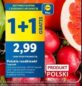 Lidl Rzodkiewka oferta