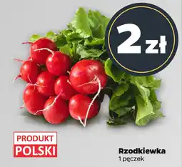 Netto Rzodkiewka 1 pęczek oferta