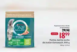 Rossmann Purina, karma sucha dla kotów domowych, 800 g oferta