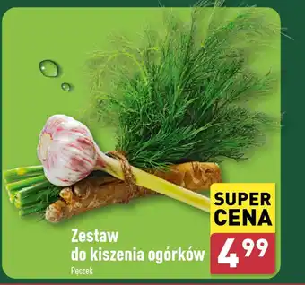 ALDI Zestaw do kiszenia ogórków oferta
