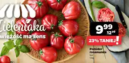Netto Pomidor rosamunda luz 1 kg oferta