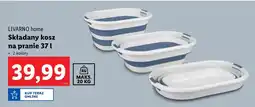 Lidl Kosz składany Livarno oferta