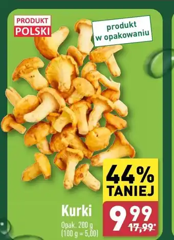 ALDI Kurki Polski oferta