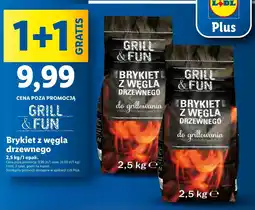 Lidl Brykiet Grill&Fun oferta