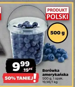 Netto Borówka amerykańska oferta