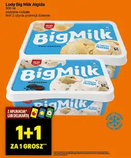 Delikatesy Centrum Lody Big Milk oferta