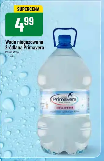 Polomarket Woda niegazowana źródlana Primavera 5 l oferta
