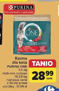 Carrefour Karma dla kota sterilcat wołowina i pszenica Purina One oferta
