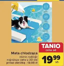 Carrefour Mata chłodząca dla psa oferta