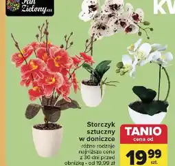 Carrefour Storczyk oferta