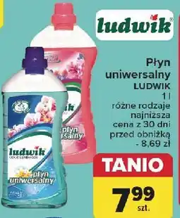 Carrefour Płyn uniwersalny wiosenny ogród Ludwik oferta