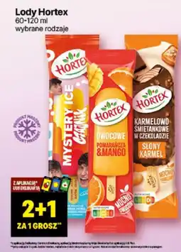 Delikatesy Centrum Lody Hortex oferta