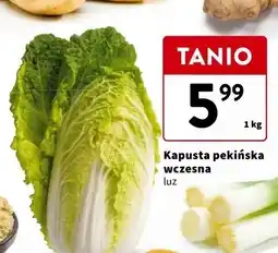 Intermarche Kapusta pekińska wczeska polska oferta