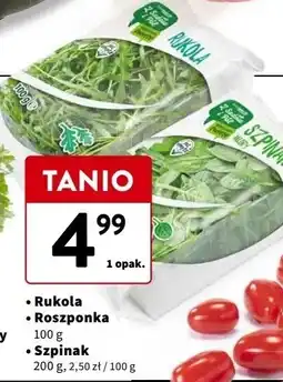 Intermarche Rukola Z Sadów I Pól oferta