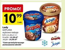 Intermarche Lody classic Jeżyki oferta