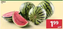 Stokrotka Market Arbuz oferta