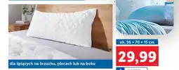 Lidl LIVARNO home Poduszka z pianką wiskoelastyczną 36x76x15cm oferta