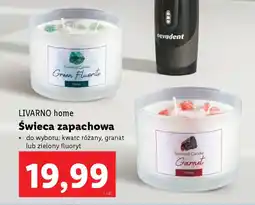 Lidl LIVARNO home Świeca zapachowa oferta