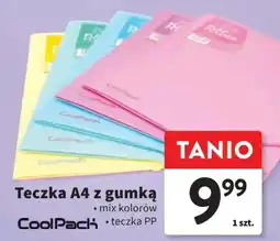 Intermarche Teczka A4 z gumką CoolPack oferta