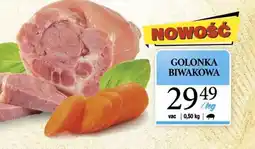 Dantex Golonka biwakowa oferta