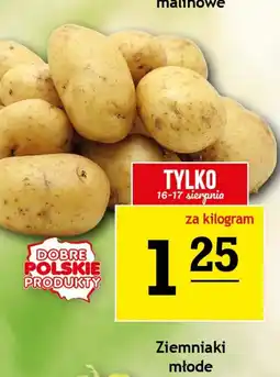 Gram Market Ziemniaki młode oferta