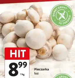 Intermarche Pieczarki oferta
