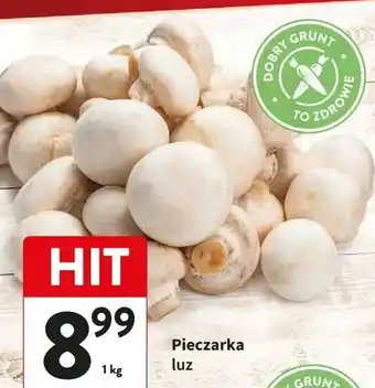 Intermarche Pieczarki oferta