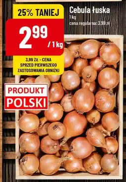 Polomarket Cebula żółta polska oferta