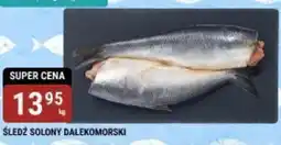 bi1 Sledź solony dalekomorski oferta