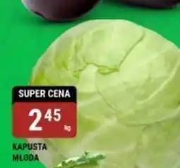 bi1 Kapusta młoda oferta