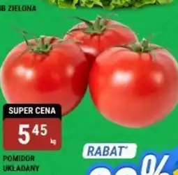 bi1 Pomidor układany oferta